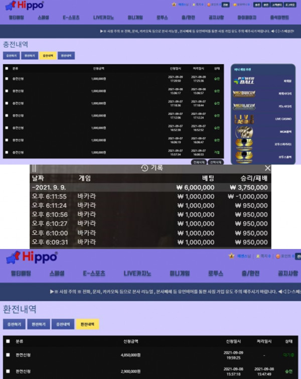 먹튀검증 히포[HIPPO] (hippo-1.com) 먹튀확정 - 토토피아