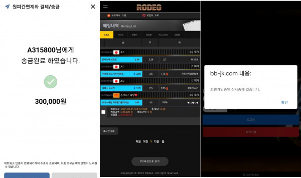 먹튀검증 로데오[RODEO] 먹튀 (bb-jk.com) 먹튀확정 - 토토피아
