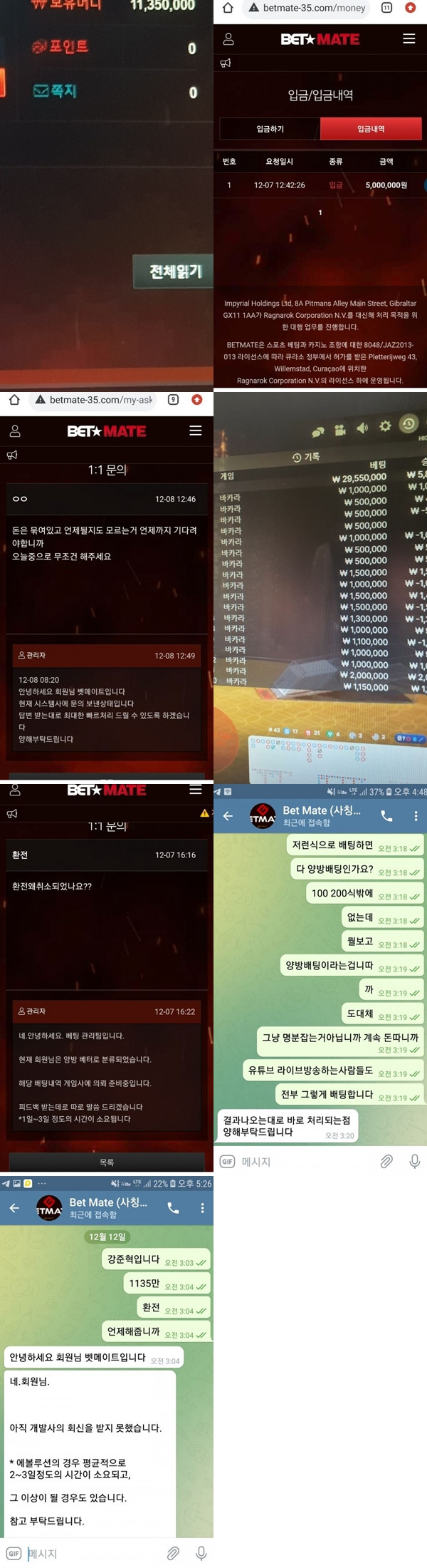 먹튀검증 벳메이트[BETMATE] (betmate-35.com) 먹튀확정 - 토토피아