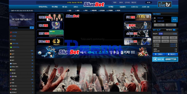 신규사이트 블루벳[BlueBet] btb010.com 검증 - 토토피아