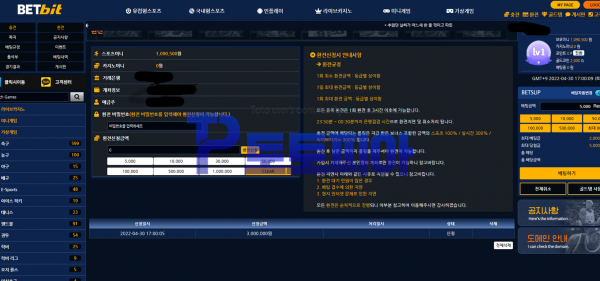먹튀검증 벳비트[BETBIT] (bit-kr.com) 먹튀확정 - 토토피아