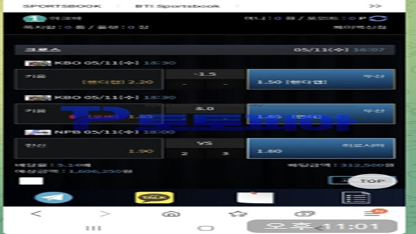 먹튀검증 비존[B-Zone] (bz-246.com) 먹튀확정 - 토토피아