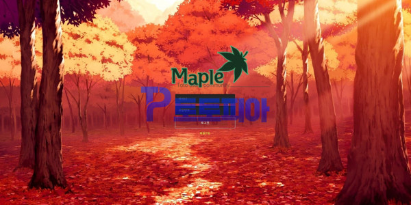 먹튀검증 메이플[Maple] (maple-100.com) 먹튀확정 - 토토피아