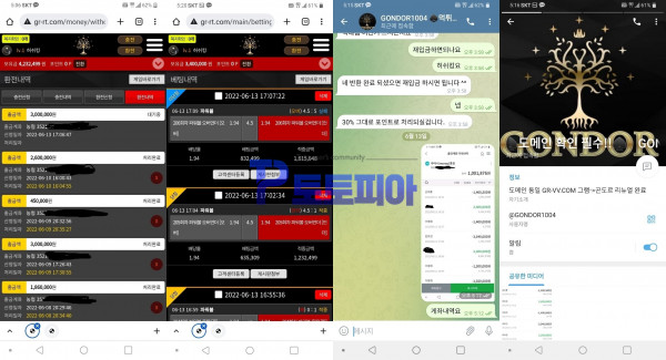 곤도르[GONDOR] 파워볼 당첨금 630만원 먹튀 - 먹튀검증사이트 토토피아